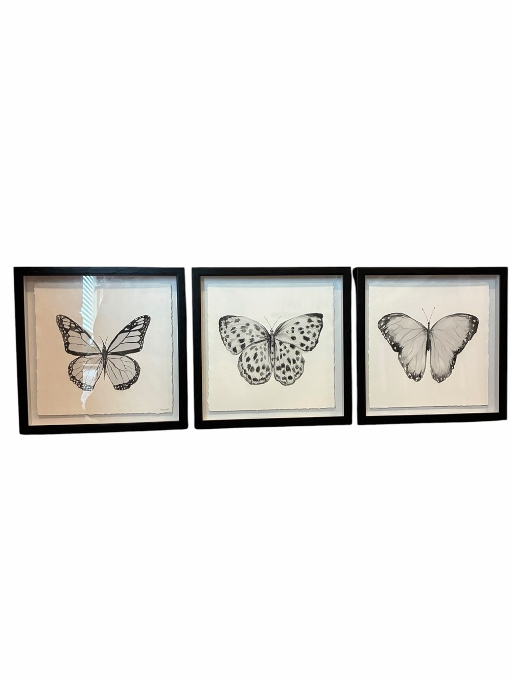 11" Marmont Hill Butterfly Trio ll Shadowbox Frame Sketches Black and White Bugs